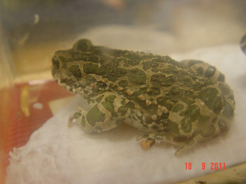 dsc01515