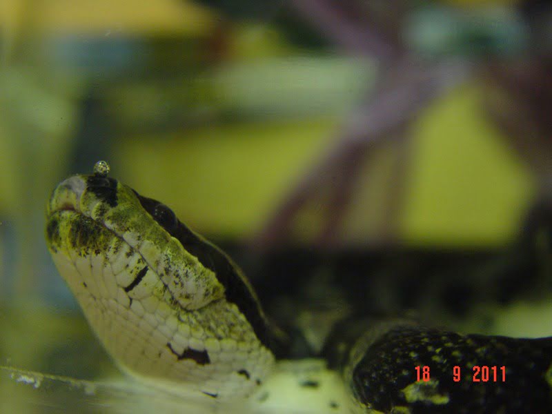 dsc01538