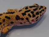 dsc03981