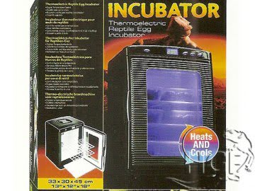 incubator