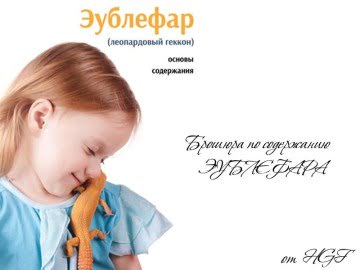 Брошюра по содержанию эублефара Image 1