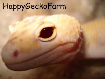 RAPTOR  Ruby Eyes Image 0