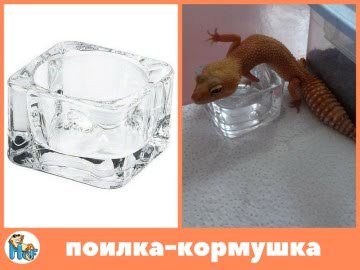 Поилка кормушка квадратная Image 0